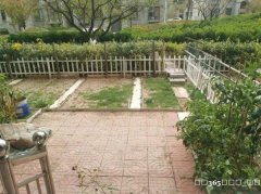 出售凤凰湖D区一楼，62平米，带小院。精装修，27.5万。拎